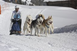 Kandersteg 2013